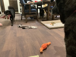 IMG_5803