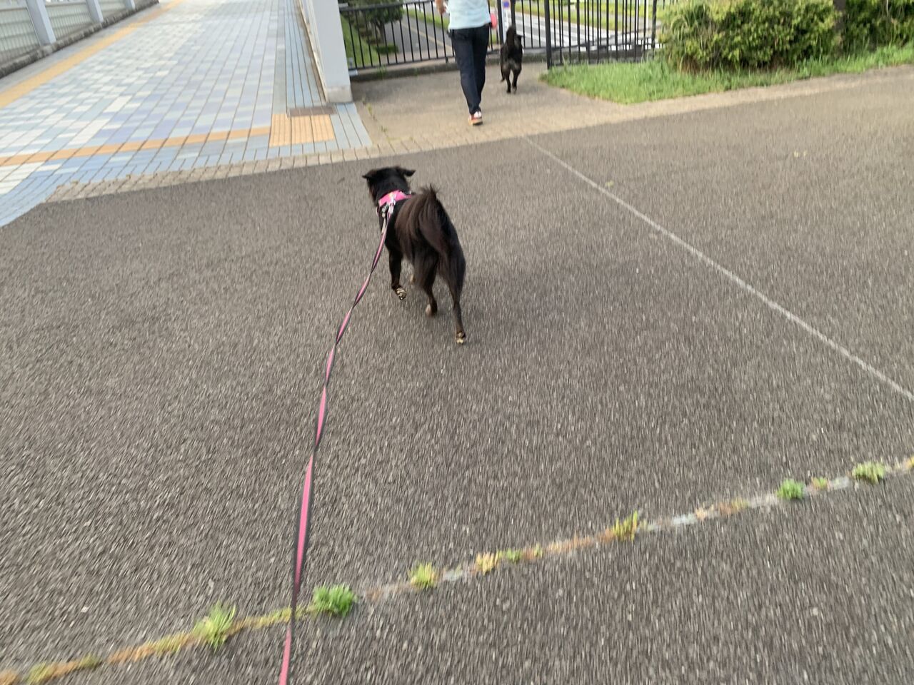 毎日女子会 毎日女子会