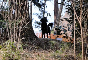 DSC_8940 (2)