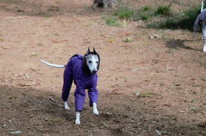 DSC_8904 (2)