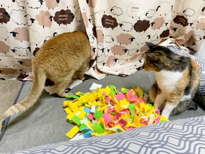 IMG_2307