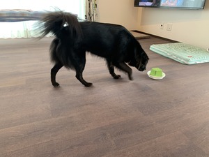 IMG_5051