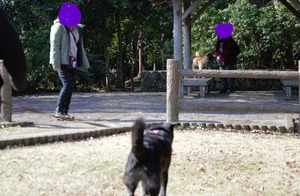 InkedDSC_8842 (2)_LI