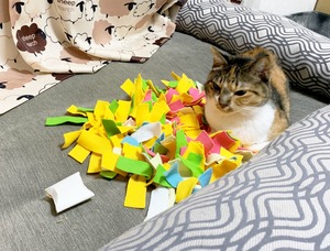 IMG_2288