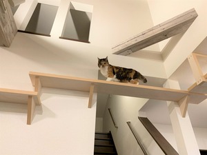 IMG_3896