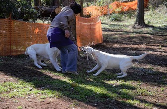 DSC_9482 (2)