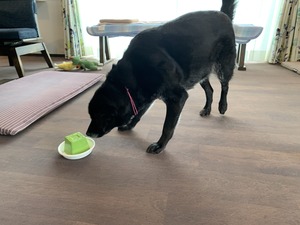 IMG_5026