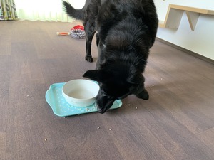IMG_4048