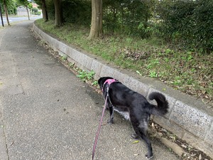 IMG_5635