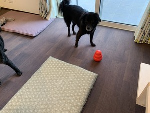 IMG_5778