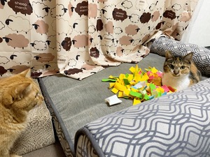 IMG_2292
