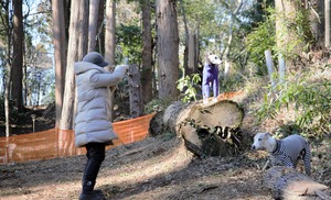 DSC_8935 (2)