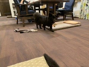 IMG_5798