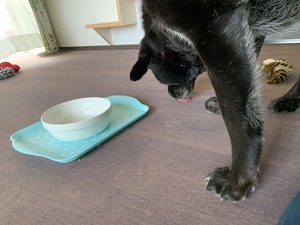 IMG_4052