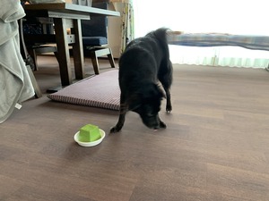 IMG_5050