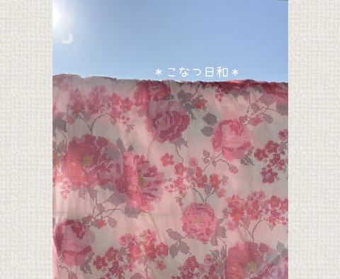 E883A2CF-AF75-43E8-87B8-6FEB5D3052C1