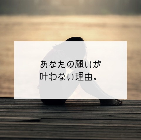 F8804C5A-6C49-4DB8-BD3B-8EA937CA38AB