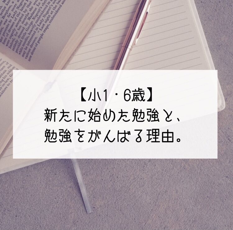 小1 6歳 新たに始めた勉強と 勉強をがんばる理由 こなつ日和 Powered By ライブドアブログ