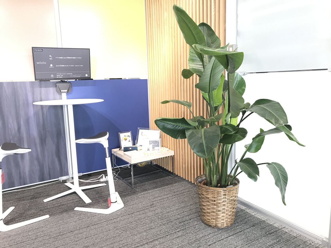 F I K Sを飾る観葉植物たち 新入社員日記