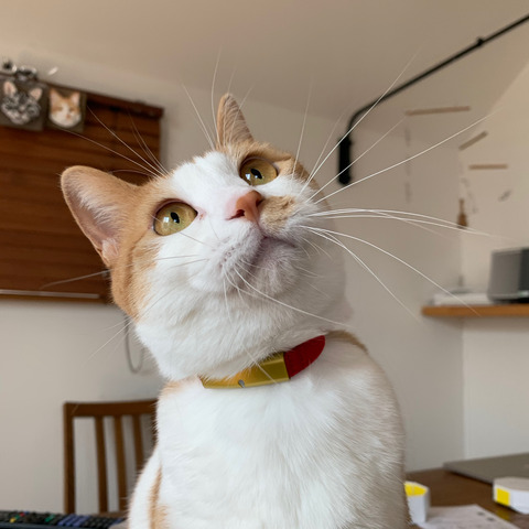 ガンプラ セット バウンドドック Zガンダム Sql Hu Berlin De