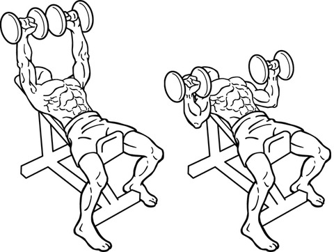 インクラインダンベルプレス