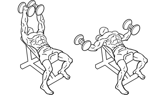 インクラインダンベルフライ