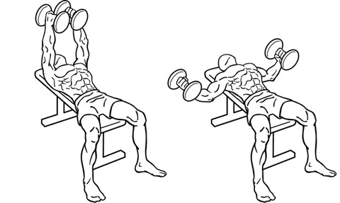 ダンベルフライ