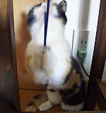 dc041229a.jpg