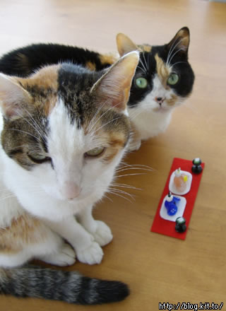 d060217i.jpg