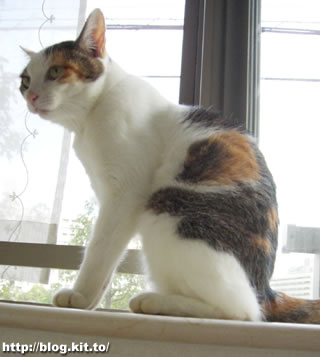 d060822b.jpg