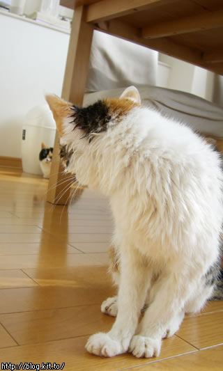 d060126j.jpg