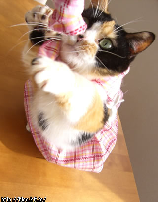 d050117k.jpg