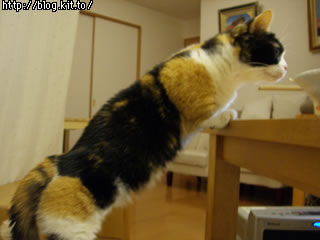 d060207a.jpg