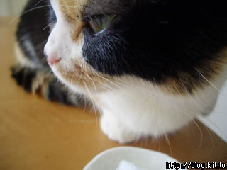 d060206f.jpg