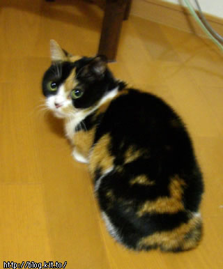 df051229f.jpg