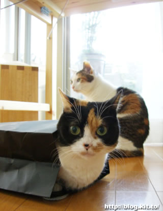 d060427c.jpg