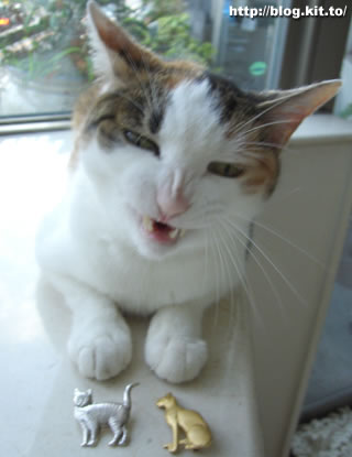 d060822k.jpg