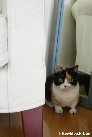 d060607b.jpg