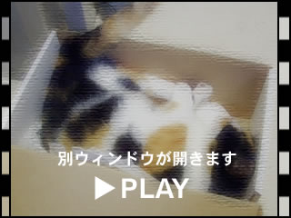 d051126d.jpg