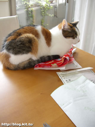 d060725c.jpg