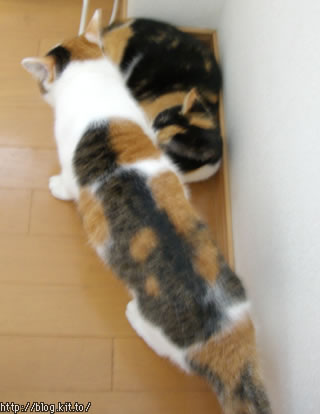 d051007d.jpg