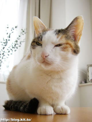 d060326h.jpg
