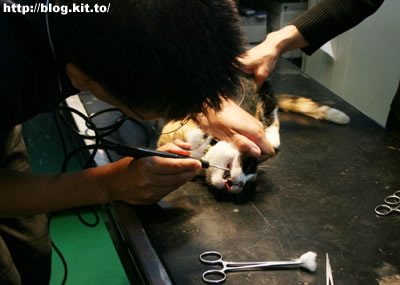 d061010a.jpg