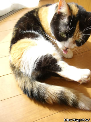 d060224c.jpg