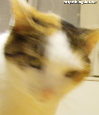 d060831g.jpg