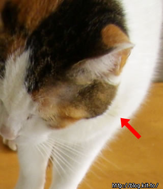 d060126b.jpg