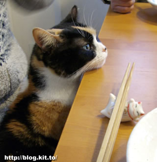 d060327a.jpg
