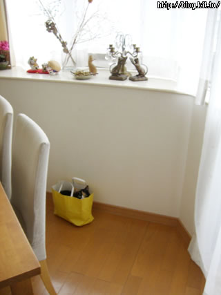 d060215s.jpg
