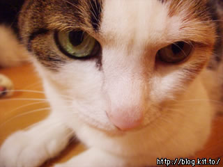 d050918i.jpg