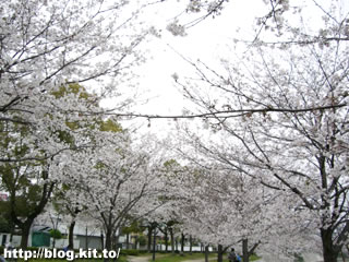 d060406n.jpg